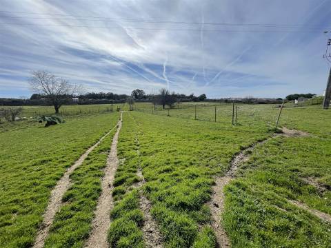 Quinta T0 Venda em Alcains,Castelo Branco