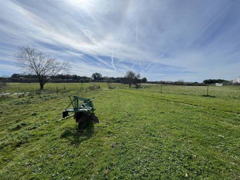 Quinta T0 Venda em Alcains,Castelo Branco