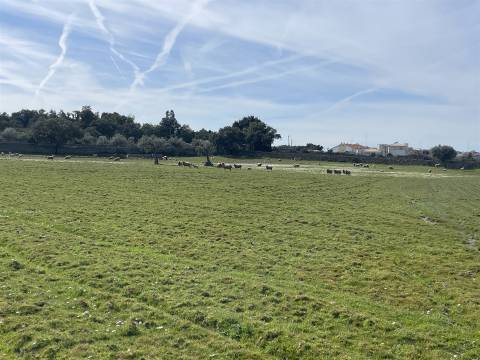 Quinta T0 Venda em Alcains,Castelo Branco