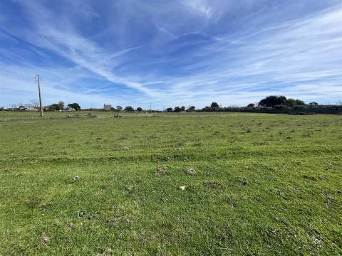 Quinta T0 Venda em Alcains,Castelo Branco