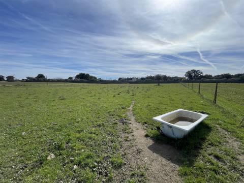 Quinta T0 Venda em Alcains,Castelo Branco