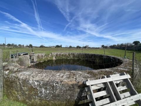Quinta T0 Venda em Alcains,Castelo Branco
