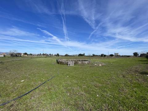 Quinta T0 Venda em Alcains,Castelo Branco