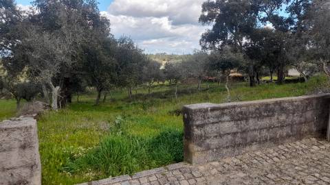 Terreno Para Construção  Venda em Benquerenças,Castelo Branco