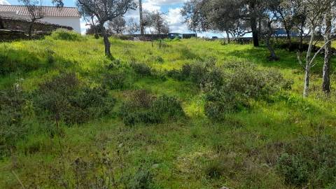 Terreno Para Construção  Venda em Benquerenças,Castelo Branco