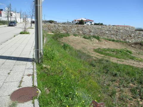 Lote de Terreno  Venda em Castelo Branco,Castelo Branco