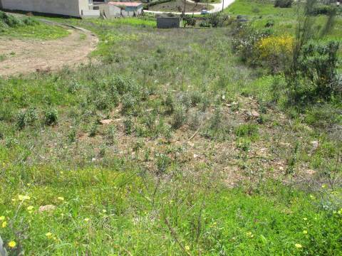 Lote de Terreno  Venda em Castelo Branco,Castelo Branco