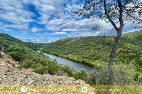 Terreno Rústico  Venda em Sarzedas,Castelo Branco