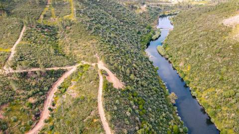 Terreno Rústico  Venda em Sarzedas,Castelo Branco