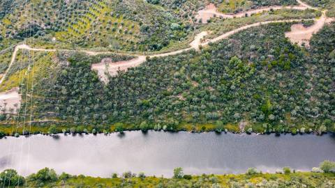 Terreno Rústico  Venda em Sarzedas,Castelo Branco