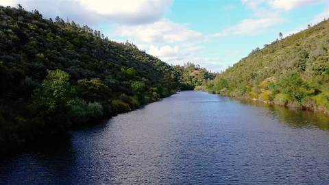 Terreno Rústico  Venda em Sarzedas,Castelo Branco