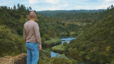 Terreno Rústico  Venda em Sarzedas,Castelo Branco