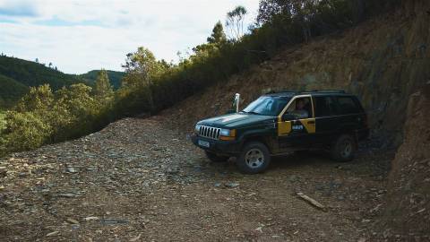 Terreno Rústico  Venda em Sarzedas,Castelo Branco
