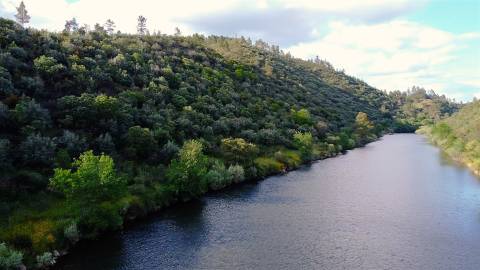 Terreno Rústico  Venda em Sarzedas,Castelo Branco