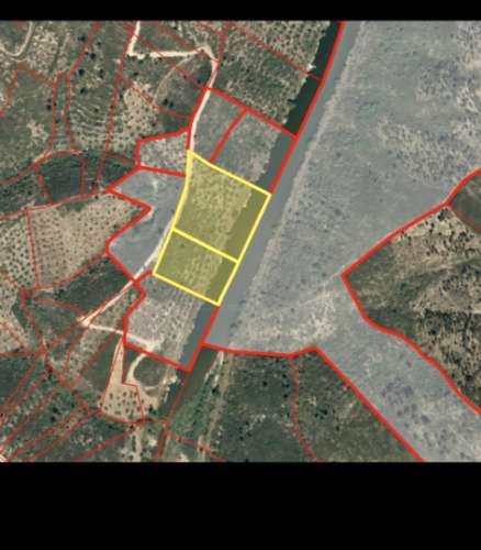 Terreno Rústico  Venda em Sarzedas,Castelo Branco