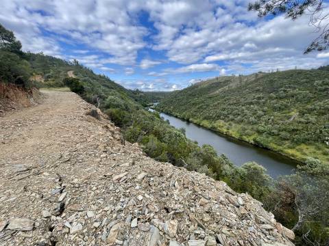 Terreno Rústico  Venda em Sarzedas,Castelo Branco