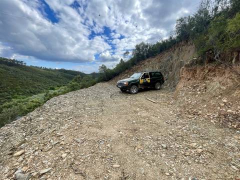 Terreno Rústico  Venda em Sarzedas,Castelo Branco