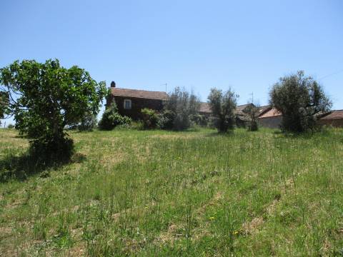 Casa de campo, terreno, Malhada do Cervo