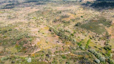 Terreno Rústico  Venda em Sarzedas,Castelo Branco