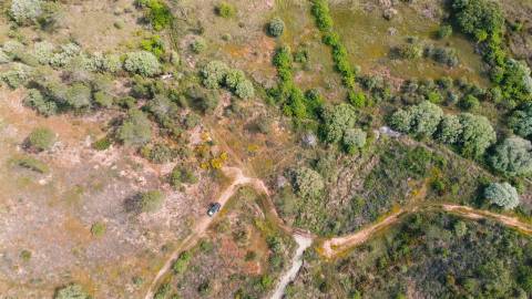 Terreno Rústico  Venda em Sarzedas,Castelo Branco