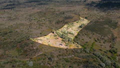 Terreno Rústico  Venda em Sarzedas,Castelo Branco