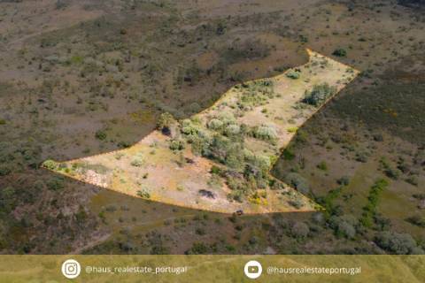 Terreno Rústico  Venda em Sarzedas,Castelo Branco