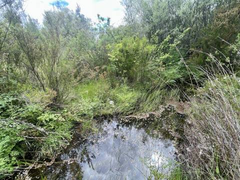 Terreno Rústico  Venda em Sarzedas,Castelo Branco