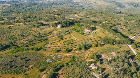 Herdade >=T10 Venda em Castelo Branco,Castelo Branco