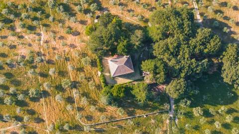Herdade >=T10 Venda em Castelo Branco,Castelo Branco