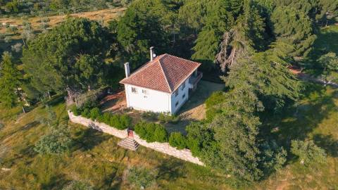 Herdade >=T10 Venda em Castelo Branco,Castelo Branco