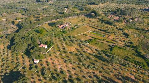 Herdade >=T10 Venda em Castelo Branco,Castelo Branco