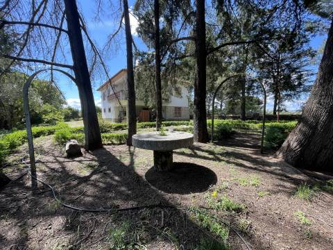 Herdade >=T10 Venda em Castelo Branco,Castelo Branco