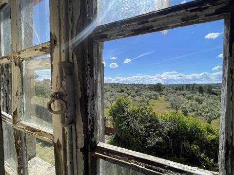 Herdade >=T10 Venda em Castelo Branco,Castelo Branco