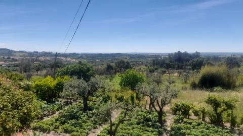 Moradia Isolada T4+1 Venda em Louriçal do Campo,Castelo Branco