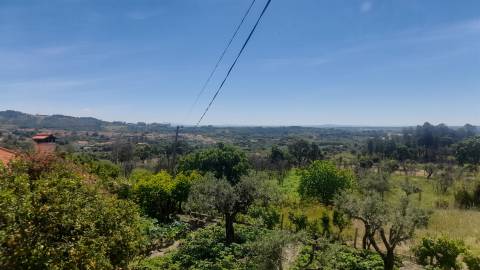 Moradia Isolada T4+1 Venda em Louriçal do Campo,Castelo Branco