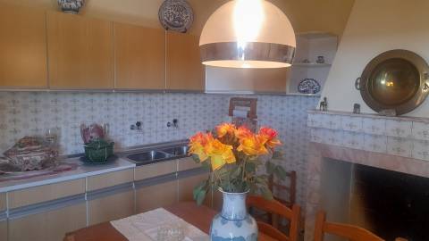 Moradia Isolada T4+1 Venda em Louriçal do Campo,Castelo Branco