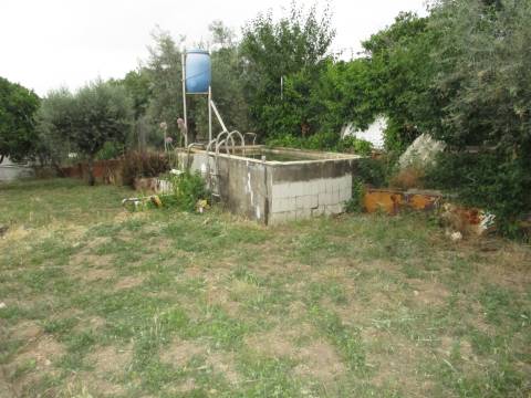Terreno  Venda em Cebolais de Cima e Retaxo,Castelo Branco