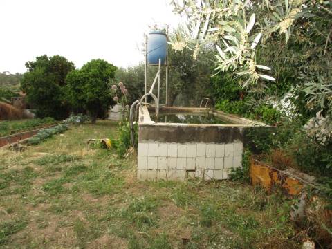 Terreno  Venda em Cebolais de Cima e Retaxo,Castelo Branco