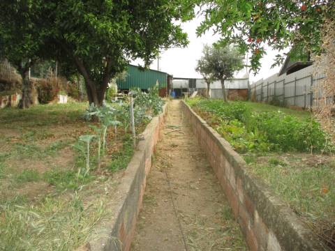 Terreno  Venda em Cebolais de Cima e Retaxo,Castelo Branco