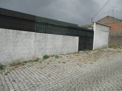 Terreno  Venda em Cebolais de Cima e Retaxo,Castelo Branco