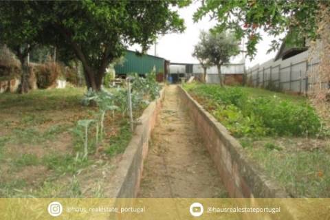 Terreno  Venda em Cebolais de Cima e Retaxo,Castelo Branco