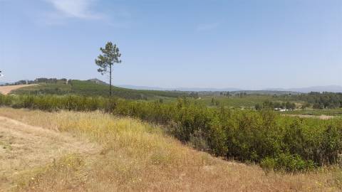 Quinta T2 Venda em Salgueiro do Campo,Castelo Branco