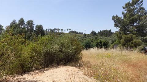 Quinta T2 Venda em Salgueiro do Campo,Castelo Branco
