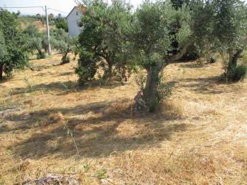 Moradia T2 Venda em Sarzedas,Castelo Branco