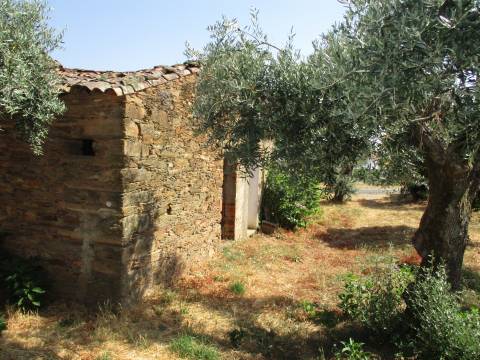 Moradia T2 Venda em Sarzedas,Castelo Branco