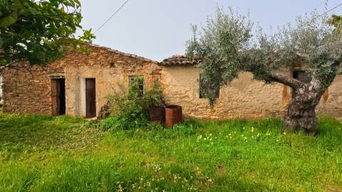 Moradia T2 Venda em Sarzedas,Castelo Branco