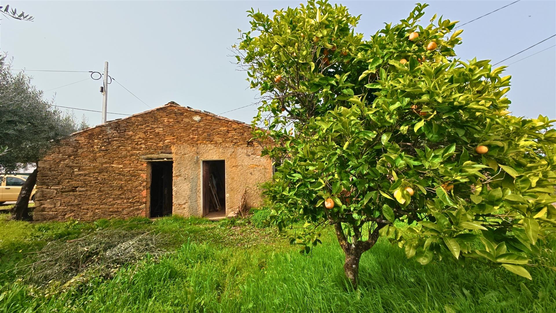 Moradia T2 Venda em Sarzedas,Castelo Branco