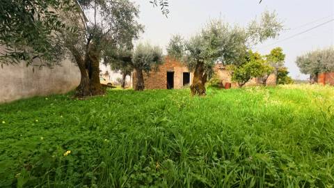 Moradia T2 Venda em Sarzedas,Castelo Branco