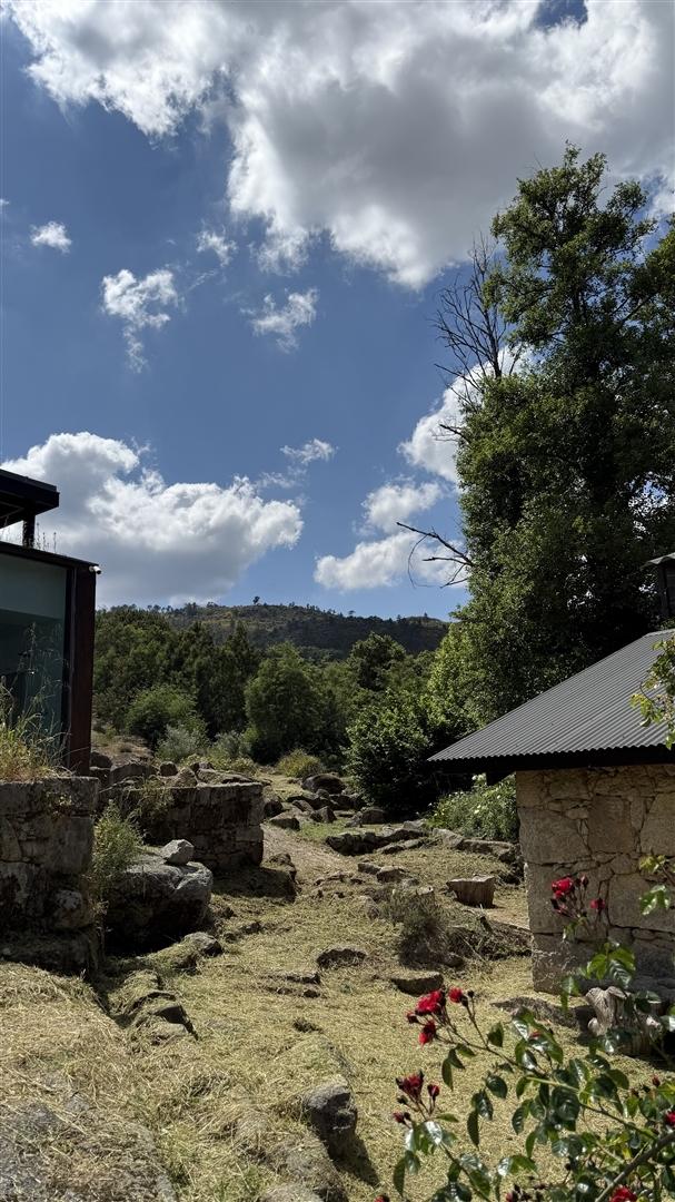 Moradia Isolada T3 Venda em Louriçal do Campo,Castelo Branco