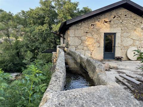 Moradia Isolada T3 Venda em Louriçal do Campo,Castelo Branco